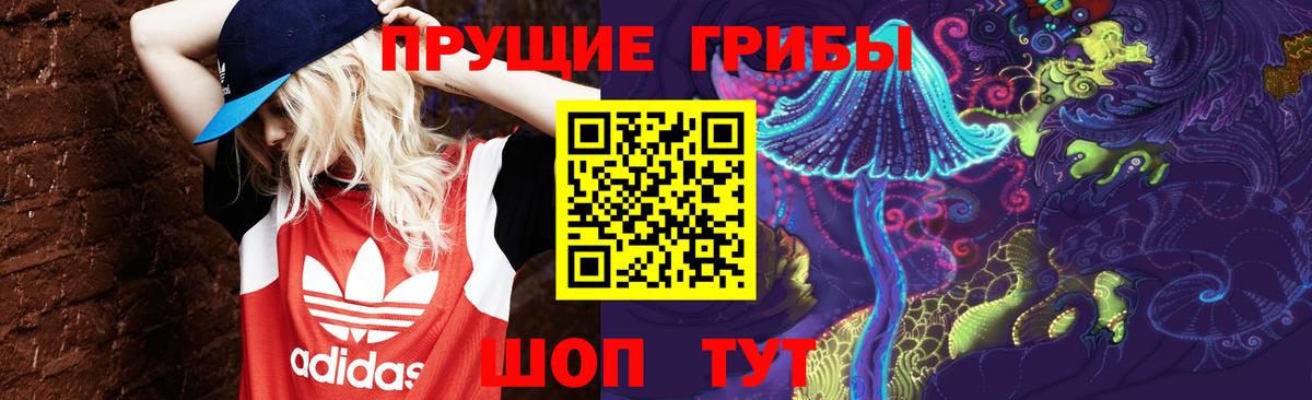 Псилоцибиновые грибы мицелий Беслан