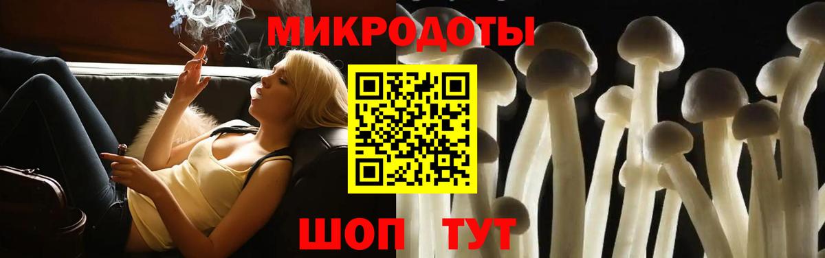 Псилоцибиновые грибы Psilocybe  где купить наркотик  Беслан  Вход с VPN  Галлюциногенные грибы мицелий 